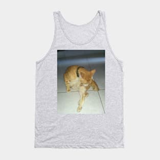 morning cat shower Tank Top